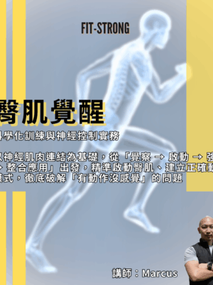 臀肌覺醒