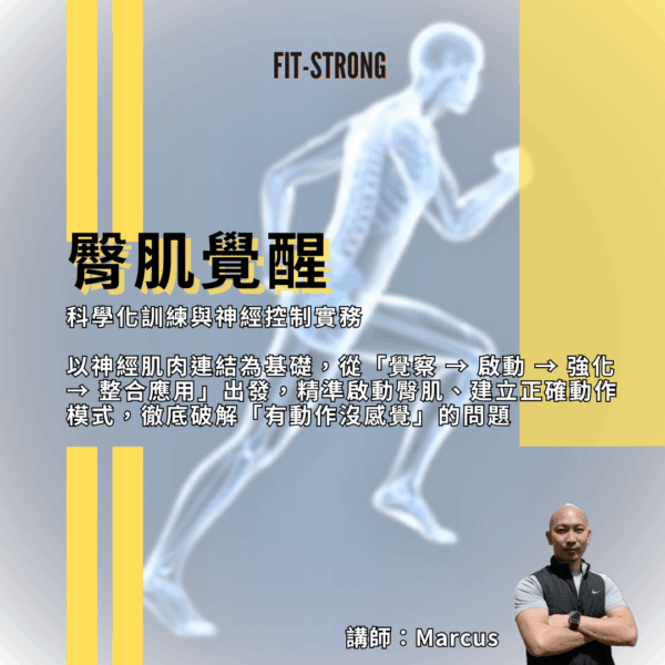 臀肌覺醒