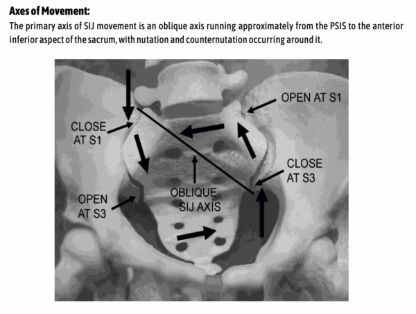 Core & Spine, Tim, SIJ